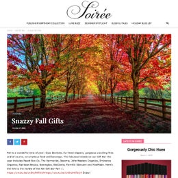 Image of a beautiful fall day with fall-colored trees lining a path.