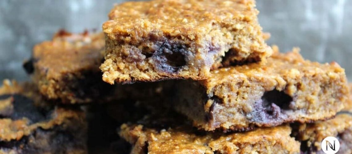 NeoraFit Blueberry Protein Powder Bars