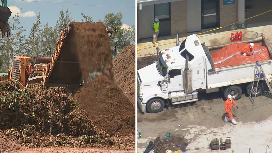 Medical expert says asbestos mulch poses 'no risk to kids'